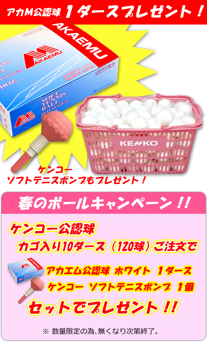 キャンペーン】ケンコー 公認球 カゴ入り10ダース（120球） | 商品仮